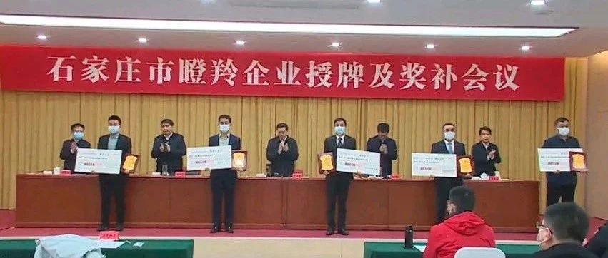 喜報丨為信電子榮獲石家莊市瞪羚企業(yè)稱號